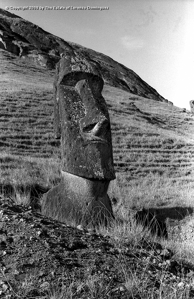 RRE_Angel_35.jpg - Easter Island. 1960. Moai on the exterior slope of Rano Raraku. Identified by Lorenzo Dominguez as "The Angel."