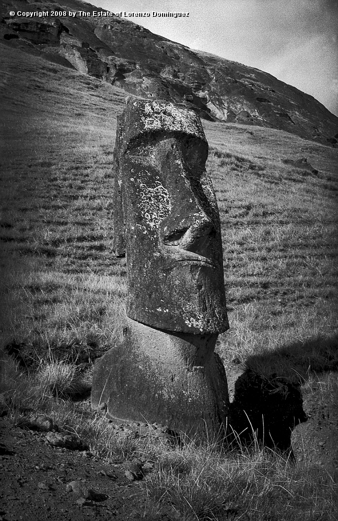 RRE_Angel_36.jpg - Easter Island. 1960. Moai on the exterior slope of Rano Raraku. Identified by Lorenzo Dominguez as "The Angel."