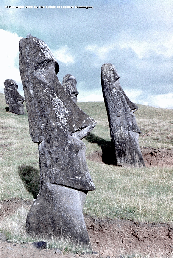 RRE_Angel_37.jpg - Easter Island. Moai on the exterior slope of Rano Raraku. On the foreground, the moai identified by Lorenzo Dominguez as "The Angel."