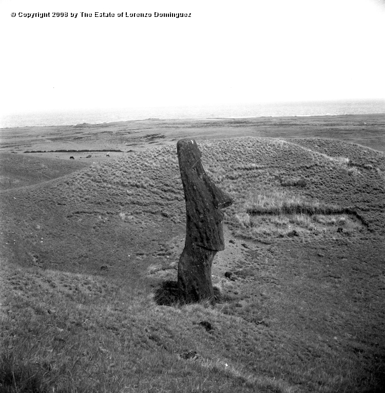 RRE_Baquedano_01.jpg - Easter Island. 1960. Moai standing alone on the exterior slope of Rano Raraku. Called "Baquedano" because of the sign painted on its neck by sailors of the homonym ship.