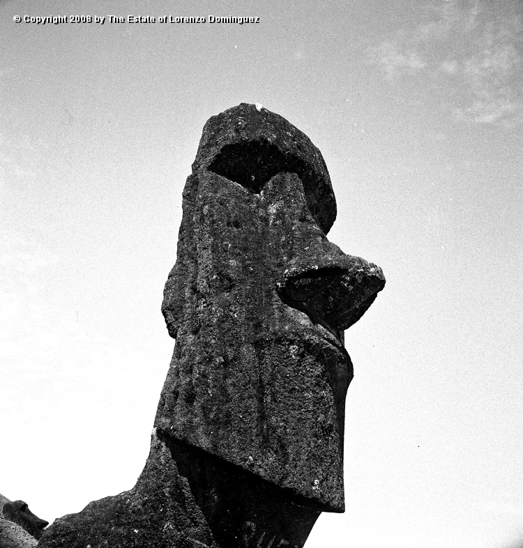 RRE_Baquedano_12.jpg - Easter Island. 1960. Moai on the exterior slope of Rano Raraku. Called "Baquedano" because of the sign painted on its neck by sailors of the homonym ship.