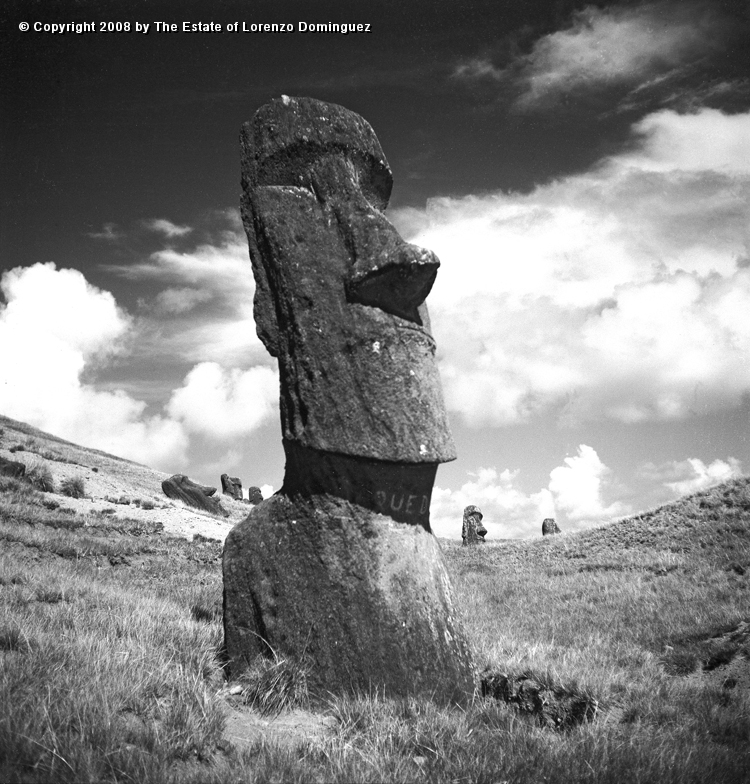RRE_Baquedano_13.jpg - Easter Island. 1960. Moai on the exterior slope of Rano Raraku. Called "Baquedano" because of the sign painted on its neck by sailors of the homonym ship.