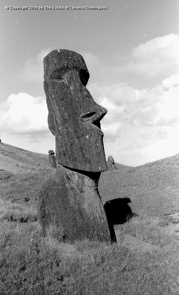 RRE_Baquedano_15.jpg - Easter Island. 1960. Moai on the exterior slope of Rano Raraku, called "Baquedano" because of the sign painted on its neck by sailors of the homonym ship.