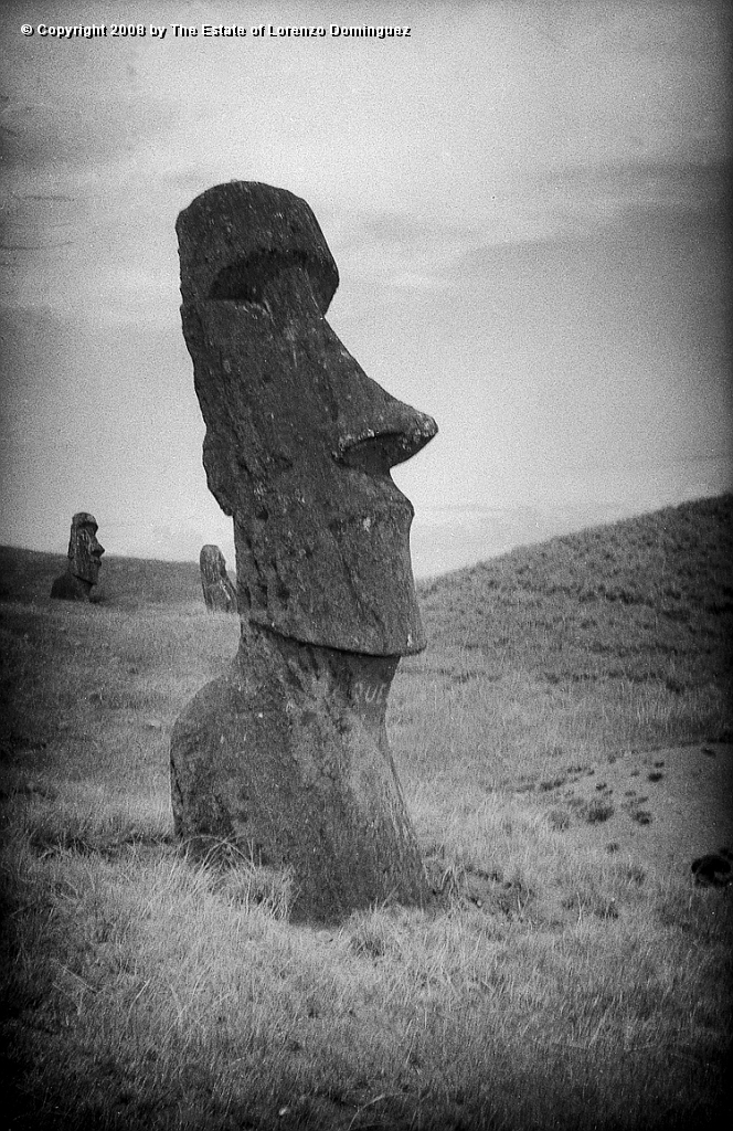 RRE_Baquedano_16.jpg - Easter Island. 1960. Moai on the exterior slope of Rano Raraku. Called "Baquedano" because of the sign painted on its neck by sailors of the homonym ship.