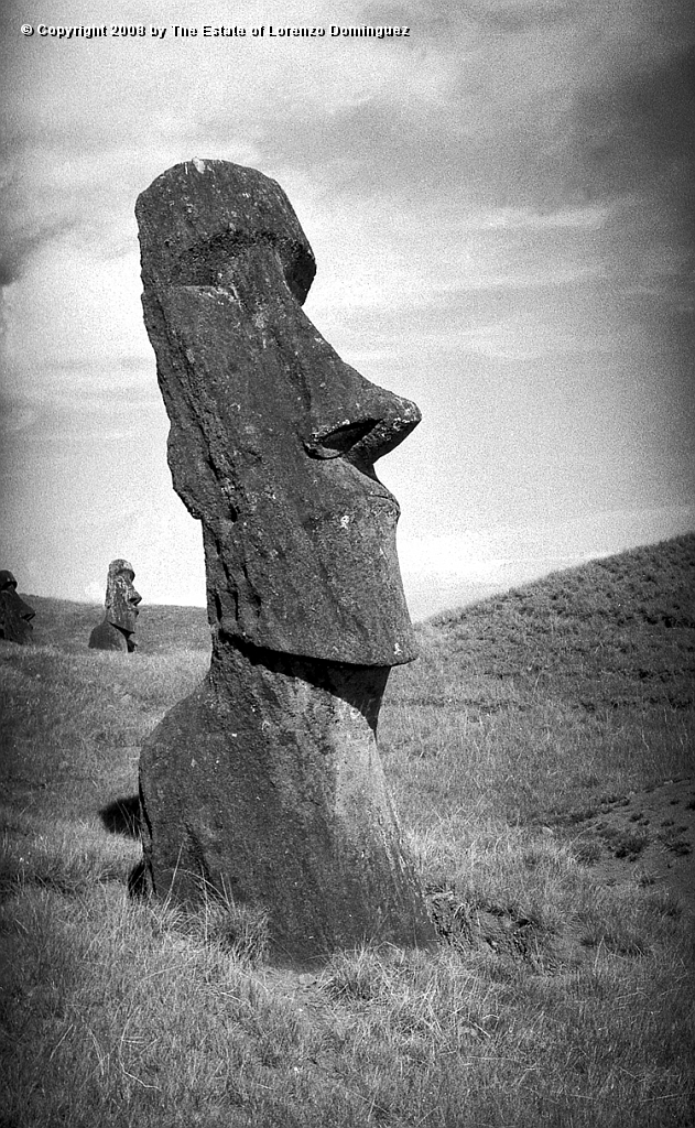 RRE_Baquedano_17.jpg - Easter Island. 1960. Moai on the exterior slope of Rano Raraku. Called "Baquedano" because of the sign painted on its neck by sailors of the homonym ship.