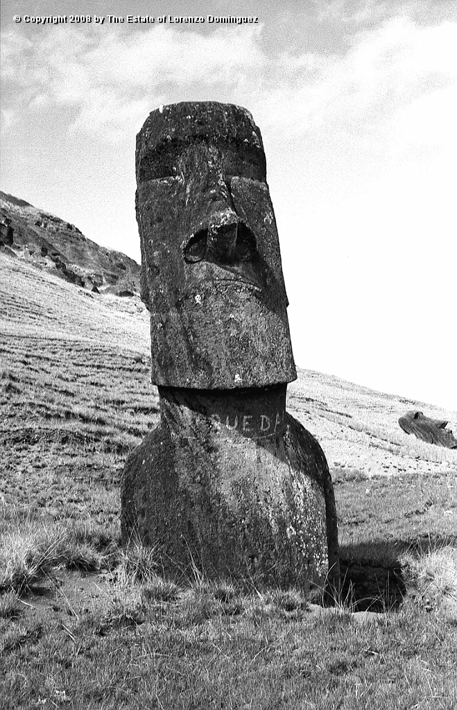 RRE_Baquedano_20.jpg - Easter Island. 1960. Moai on the exterior slope of Rano Raraku. Called "Baquedano" because of the sign painted on its neck by sailors of the homonym ship.