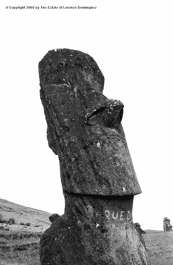 RRE_Baquedano_21.jpg - Easter Island. 1960. Moai on the exterior slope of Rano Raraku. Called "Baquedano" because of the sign painted on its neck by sailors of the homonym ship.