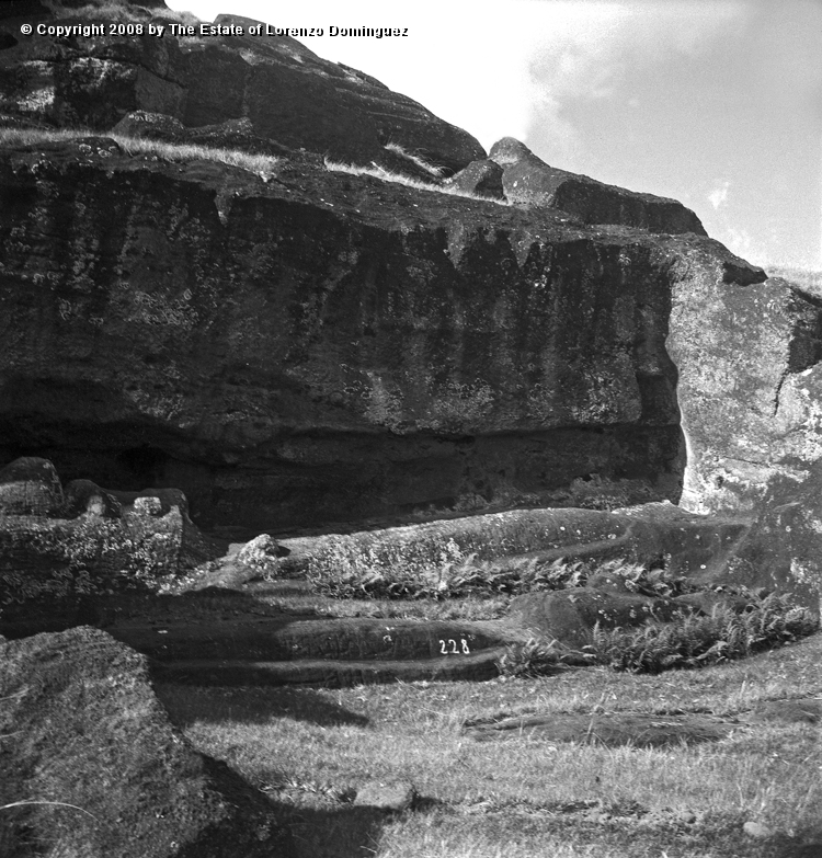 RRE_Cantera_Exterior_01.jpg - Easter Island. 1960. Several "Recumbent Moai" on the exterior quarry of the Rano Raraku.