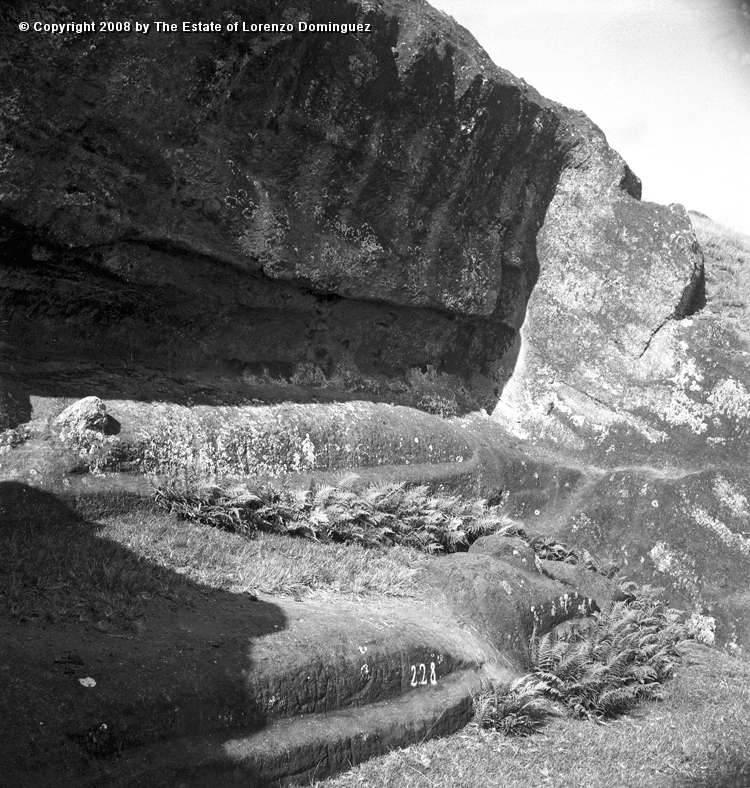 RRE_Cantera_Exterior_02.jpg - Easter Island. 1960. Several "Recumbent Moai" on the exterior quarry of the Rano Raraku.