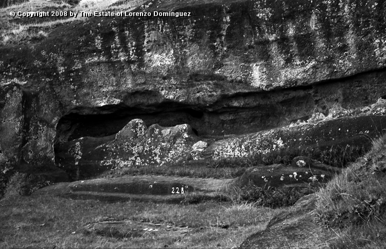 RRE_Cantera_Exterior_03.jpg - Easter Island. 1960. Exterior quarry of Rano Raraku. Recumbent moai with fern crowns.