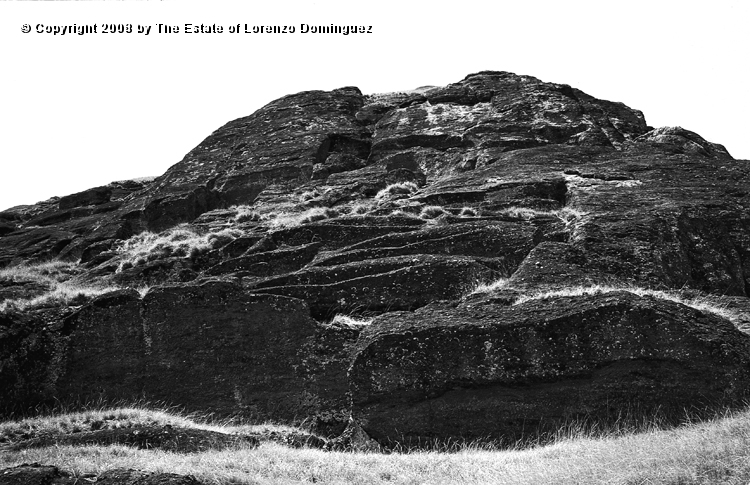 RRE_Cantera_Exterior_09.jpg - Easter Island. 1960. Moai on the exterior quarry of Rano Raraku. Carved figures in the quarry.