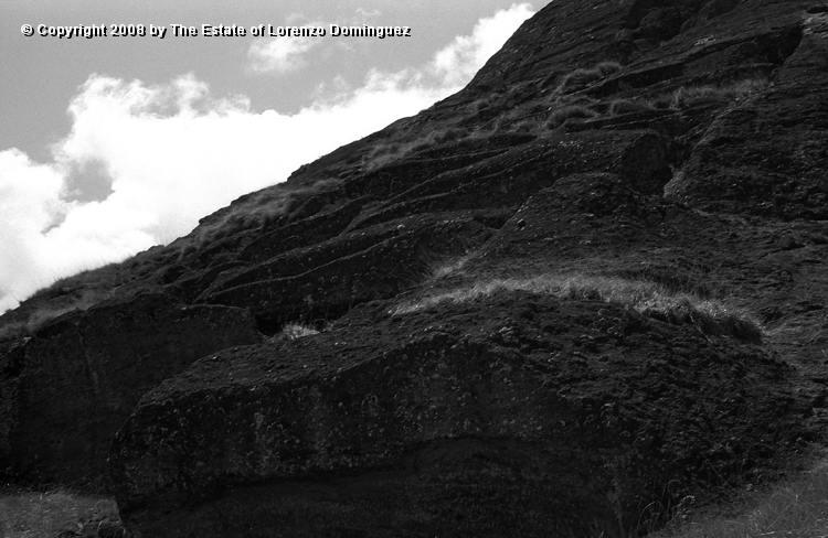 RRE_Cantera_Exterior_10.jpg - Easter Island. 1960. Quarries on the exterior of Rano Raraku.