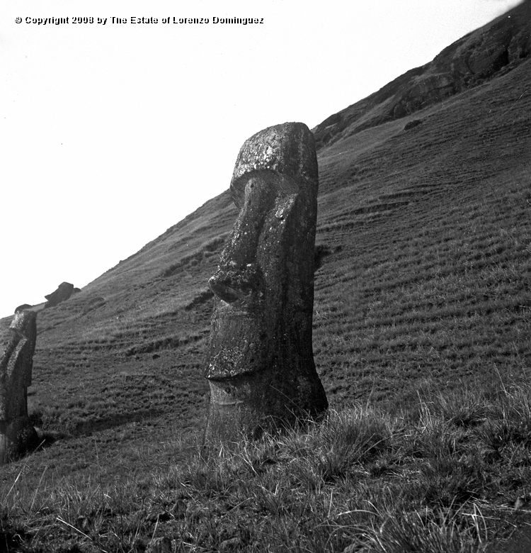 RRE_Gioconda_01.jpg - Easter Island. 1960. Moai on the exterior slope of Rano Raraku. Identified by Lorenzo Dominguez as "Gioconda."