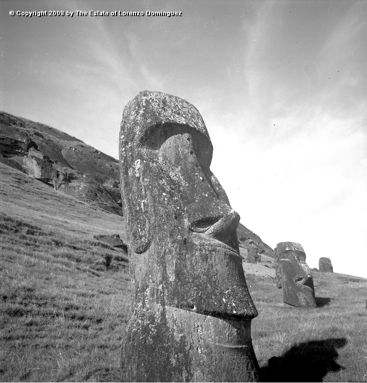 RRE_Gioconda_04.jpg - Easter Island. 1960. Moai on the exterior slope of Rano Raraku. Identified by Lorenzo Dominguez as "Gioconda."