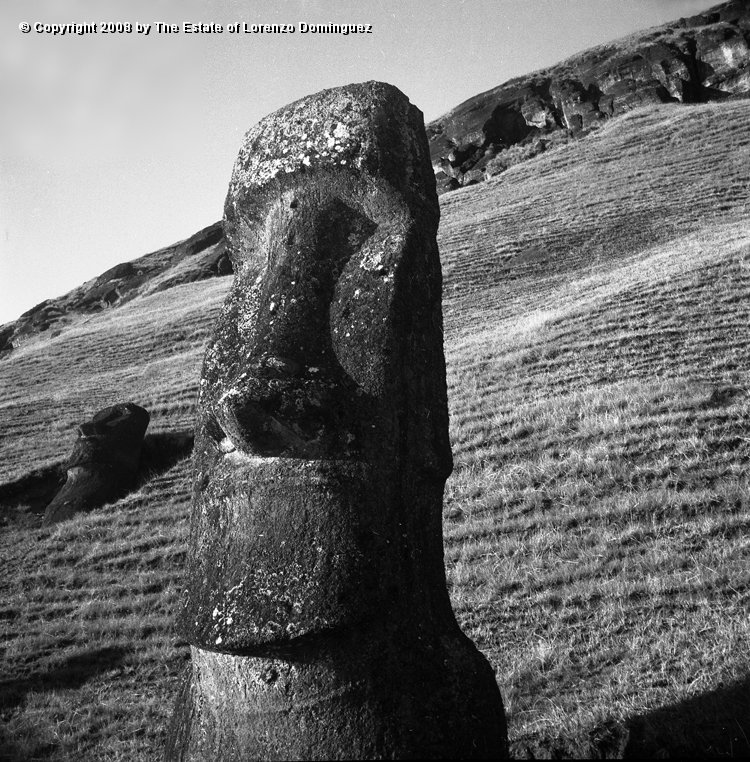 RRE_Gioconda_05.jpg - Easter Island. 1960. Moai on the exterior slope of Rano Raraku. Identified by Lorenzo Dominguez as "Gioconda."