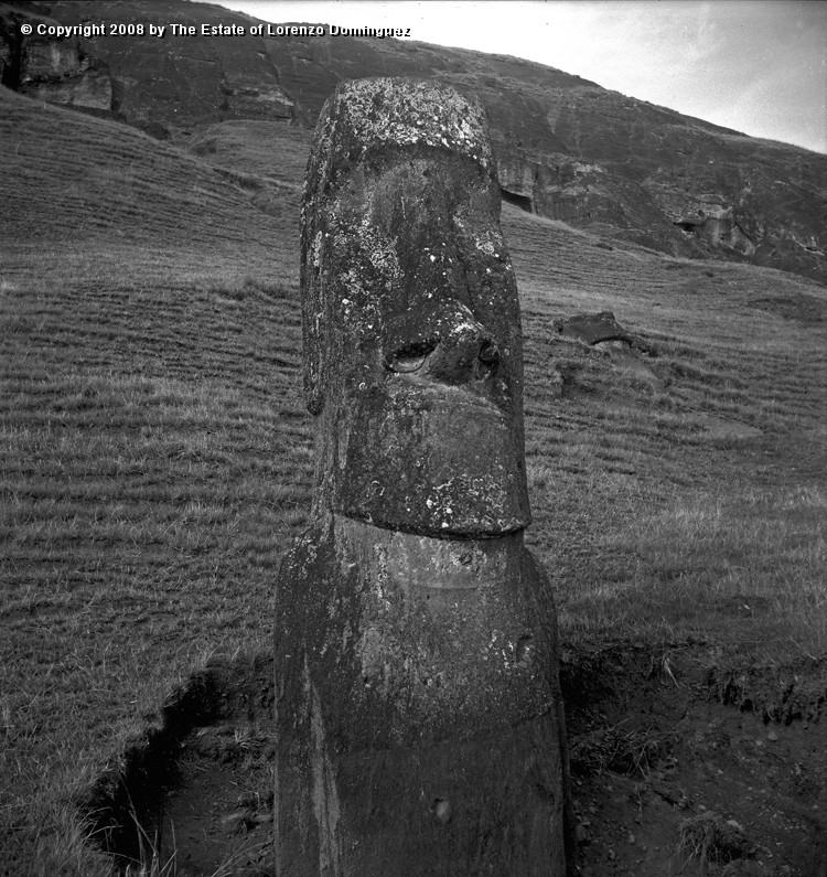 RRE_Gioconda_07.jpg - Easter Island. 1960. Moai on the exterior slope of Rano Raraku. Identified by Lorenzo Dominguez as "Gioconda."