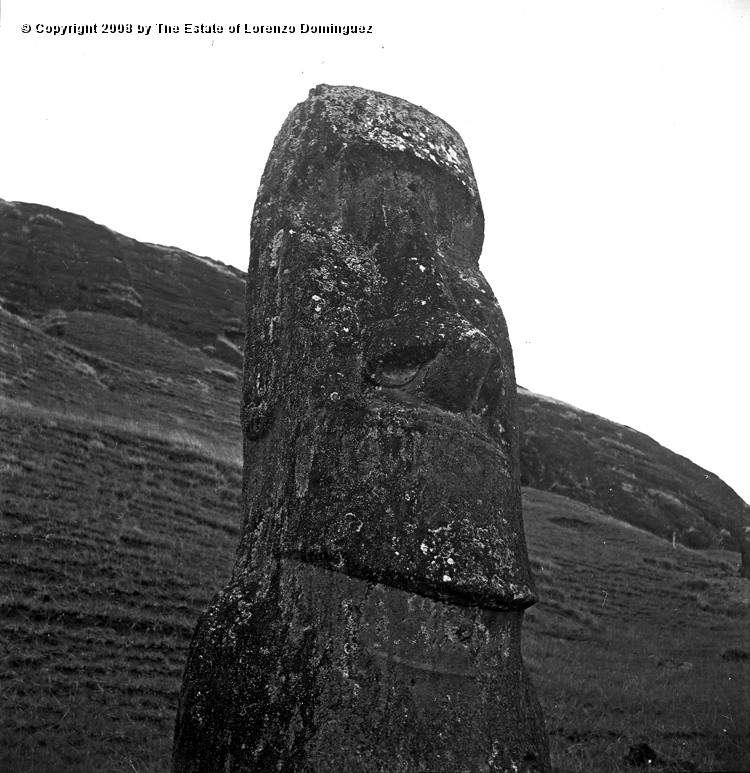 RRE_Gioconda_08.jpg - Easter Island. 1960. Moai on the exterior slope of Rano Raraku. Identified by Lorenzo Dominguez as "Gioconda."