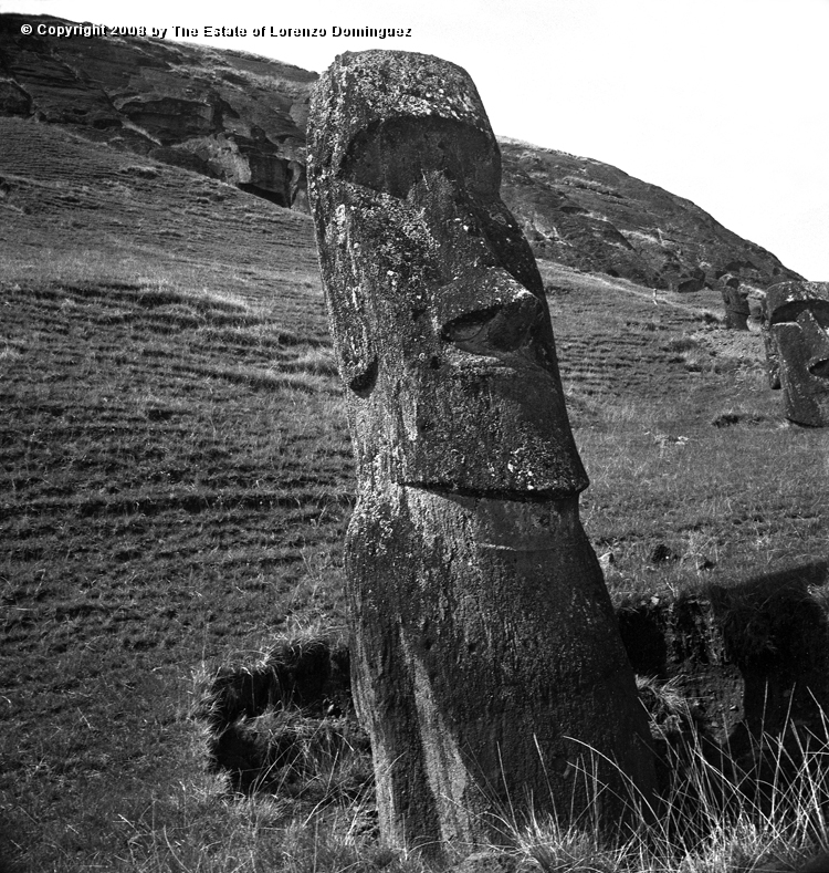 RRE_Gioconda_10.jpg - Easter Island. 1960. Exterior slope of Rano Raraku. Front view of the moai identified by Lorenzo Dominguez as "Gioconda."