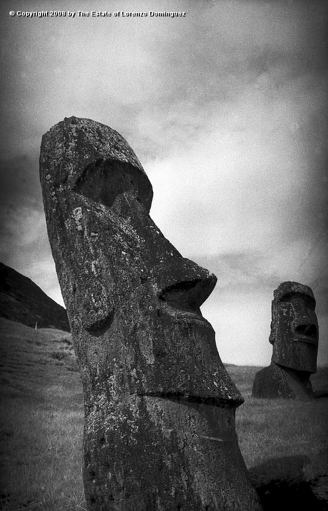 RRE_Gioconda_12.jpg - Easter Island. 1960. Moai on the exterior slope of Rano Raraku. Identified by Lorenzo Dominguez as "Gioconda."