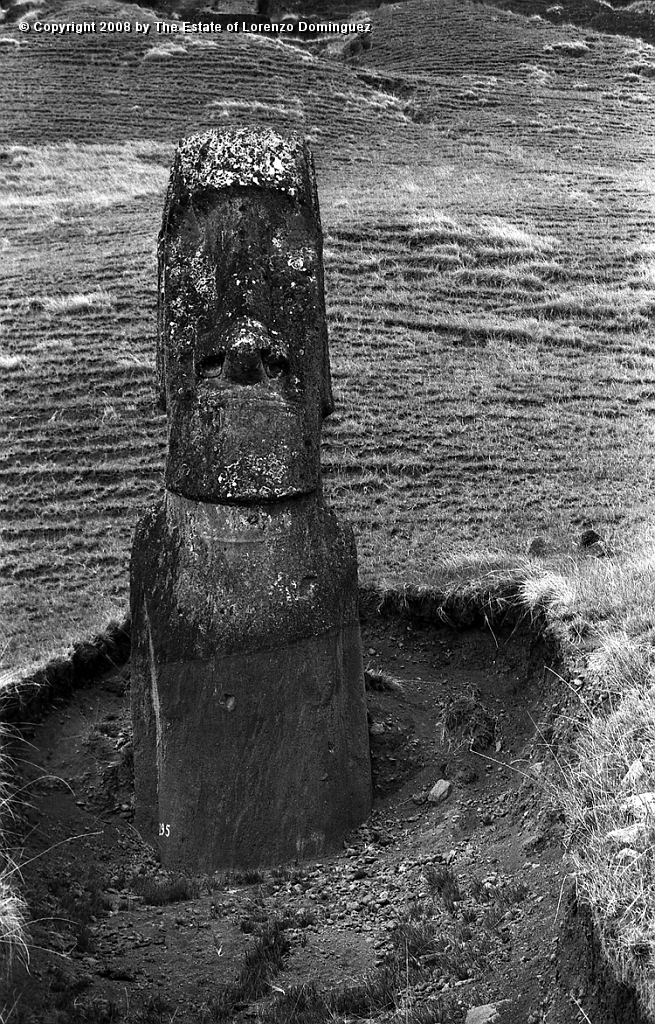 RRE_Gioconda_13.jpg - Easter Island. 1960. Sentry moai on the exterior slope of Rano Raraku.Identified by Lorenzo Dominguez as "Gioconda."