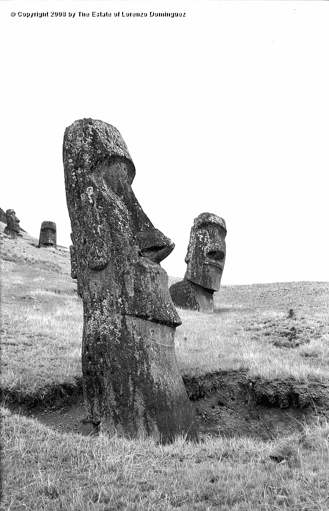 RRE_Gioconda_16.jpg - Easter Island. 1960. Moai on the exterior slope of Rano Raraku. In te foreground, the moai identified by Lorenzo Dominguez as "Gioconda." The moai in the background is said to represent Hina-Riru, the first master sculptor who arrived on Easter Island with king Hotu Matu'a.
