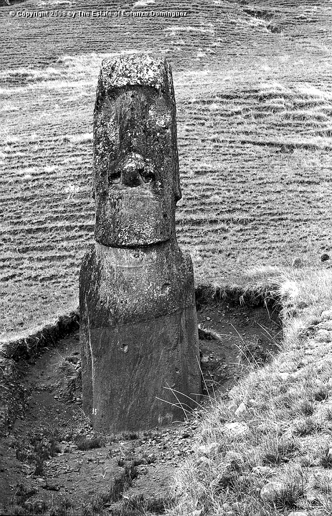 RRE_Gioconda_17.jpg - Easter Island. 1960. Moai on the exterior slope of Rano Raraku. Identified by Lorenzo Dominguez as "Gioconda."