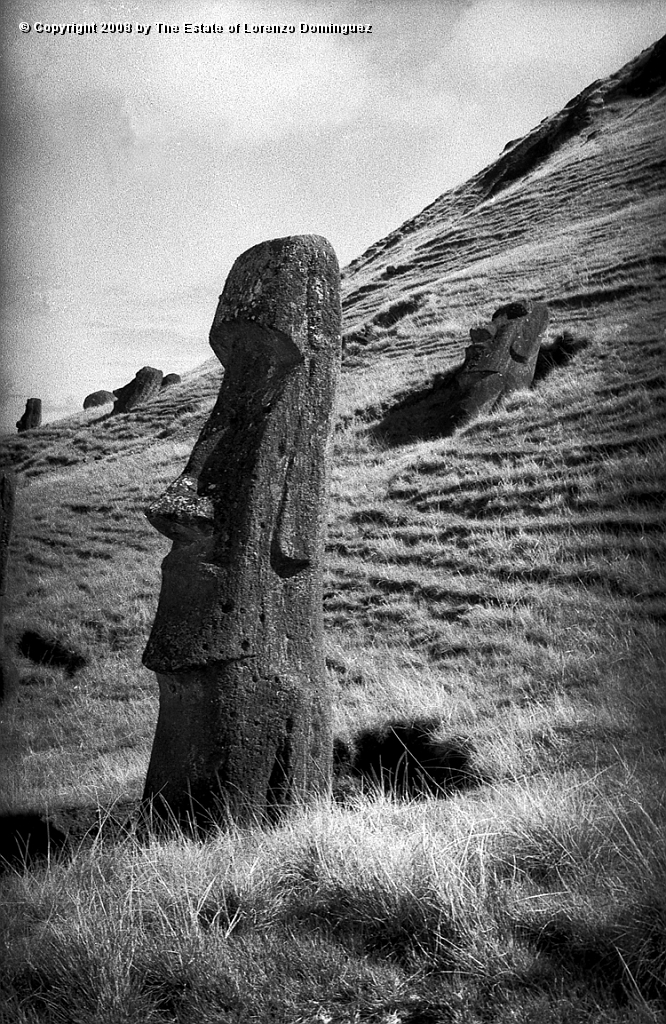 RRE_Gioconda_18.jpg - Easter Island. 1960. Moai on the exterior slope of Rano Raraku. Identified by Lorenzo Dominguez as "Gioconda."