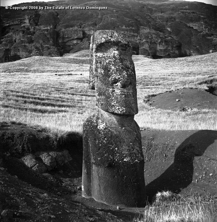 RRE_Herido_01.jpg - Easter Island. 1960. Moai on the exterior slope of Rano Raraku."Sentry moai standing alone. Moai identified by Lorenzo Dominguez as "The Wounded One."