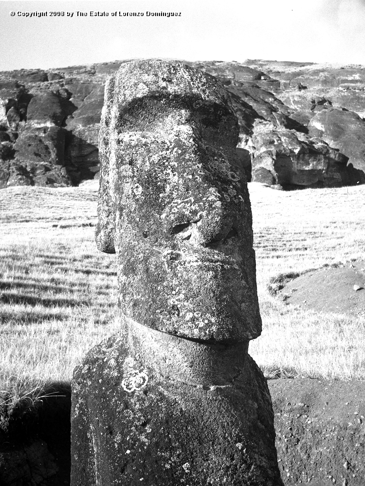 RRE_Herido_03.jpg - Easter Island. 1960. Moai on the exterior slope of Rano Raraku. Moai identified by Lorenzo Dominguez as "The Wounded One."