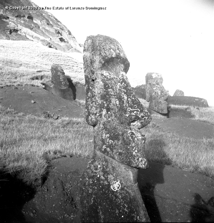 RRE_Herido_05.jpg - Easter Island. 1960. Moai on the exterior slope of Rano Raraku. Identified by Lorenzo Dominguez as "The Wounded One."