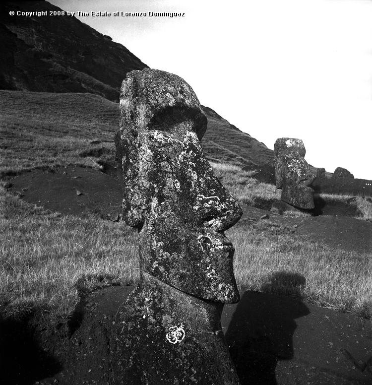 RRE_Herido_06.jpg - Easter Island. 1960. Several "Sentry" moai on the exterior slope of Rano Raraku. Identified by Lorenzo Dominguez as "The Wounded One."