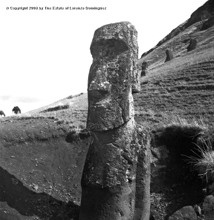 RRE_Herido_08.jpg - Easter Island. 1960. Moai on the exterior slope of Rano Raraku. Moai identified by Lorenzo Dominguez as "The Wounded One."