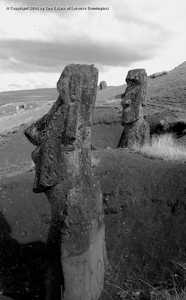 RRE_Herido_09.jpg - Easter Island. 1960. Moai on the exterior slope of Rano Raraku. In the background,  the moai identified by Lorenzo Dominguez as "The Wounded One."