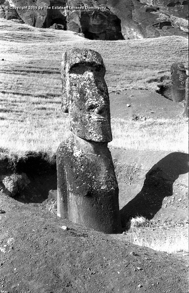 RRE_Herido_10.jpg - Easter Island. 1960. Moai on the exterior slope of Rano Raraku.  Moai identified by Lorenzo Dominguez as "The Wounded One."