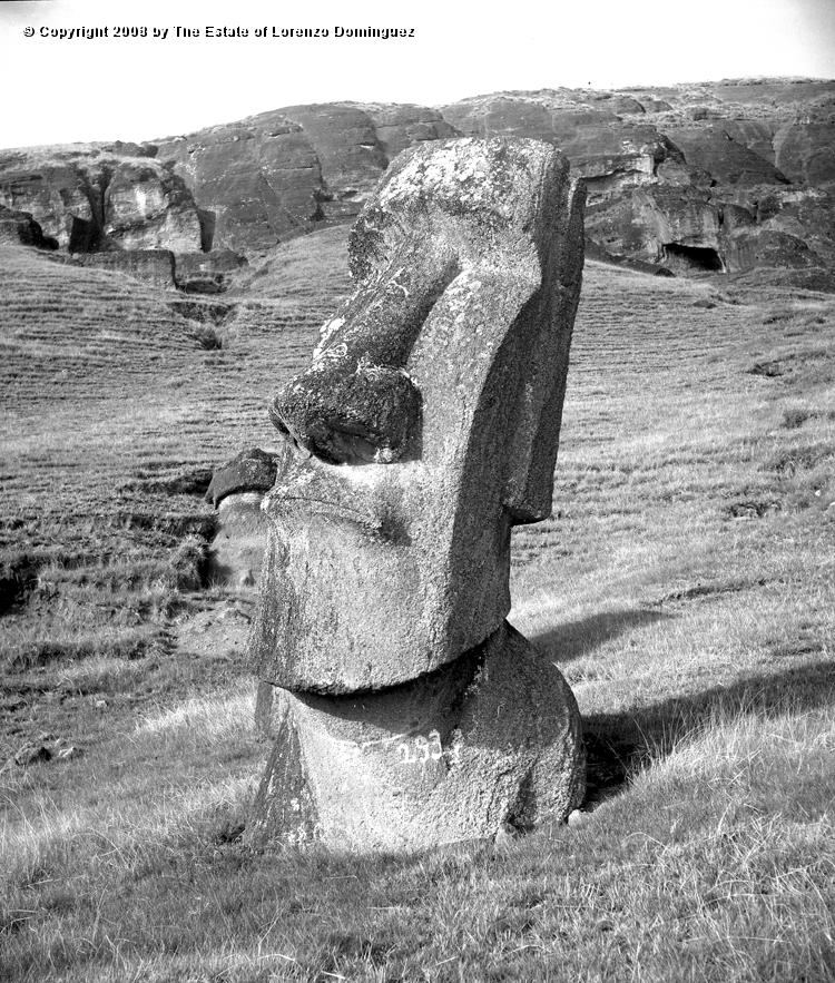 RRE_Hina_Riru_01.jpg - Easter Island. 1960. Moai on the exterior slope of Rano Raraku.  This moai is said to represent Hina-Riru, the first master sculptor who arrived on Easter Island with king Hotu Matu'a.