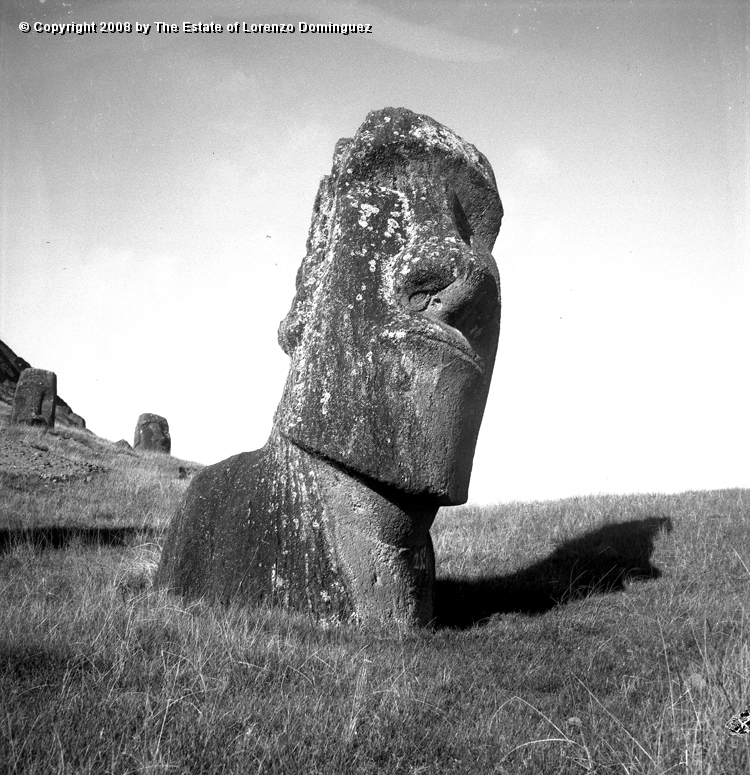 RRE_Hina_Riru_05.jpg - Easter Island. 1960. Moai on the exterior slope of Rano Raraku.  This moai is said to represent Hina-Riru, the first master sculptor who arrived on Easter Island with king Hotu Matu'a.