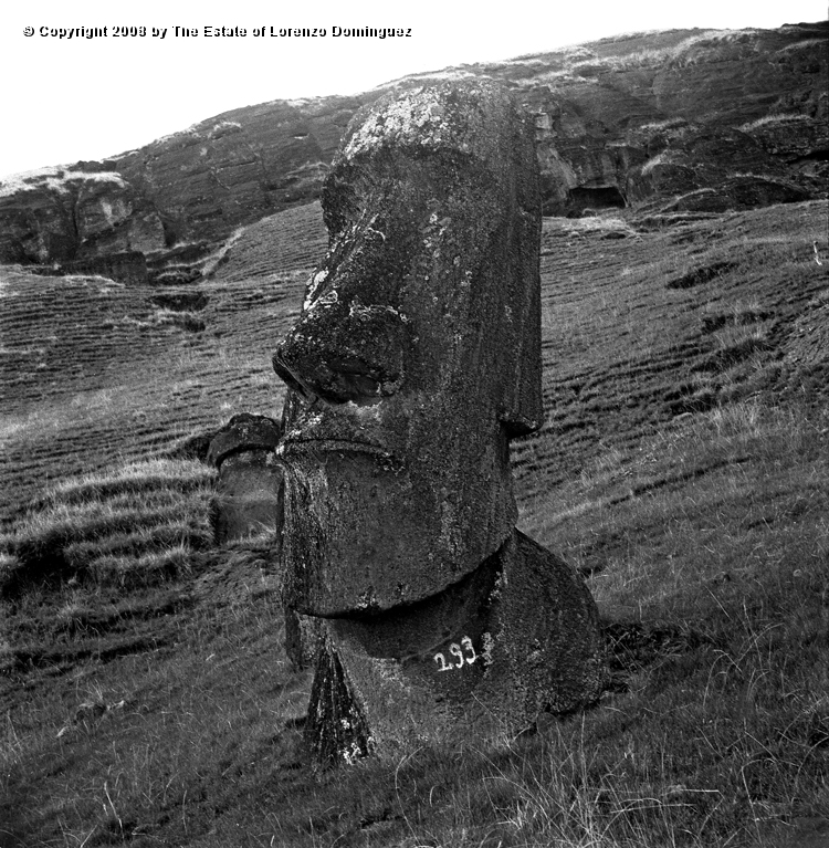 RRE_Hina_Riru_07.jpg - Easter Island. 1960. Moai on the exterior slope of Rano Raraku.  This moai is said to represent Hina-Riru, the first master sculptor who arrived on Easter Island with king Hotu Matu'a.