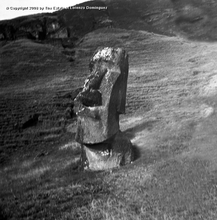 RRE_Hina_Riru_08.jpg - Easter Island. 1960. Moai on the exterior slope of Rano Raraku.  This moai is said to represent Hina-Riru, the first master sculptor who arrived on Easter Island with king Hotu Matu'a.