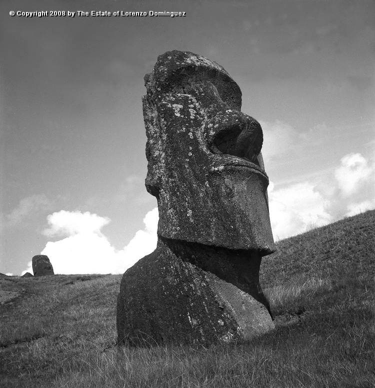 RRE_Hina_Riru_09.jpg - Easter Island. 1960. Moai on the exterior slope of Rano Raraku.  This moai is said to represent Hina-Riru, the first master sculptor who arrived on Easter Island with king Hotu Matu'a.