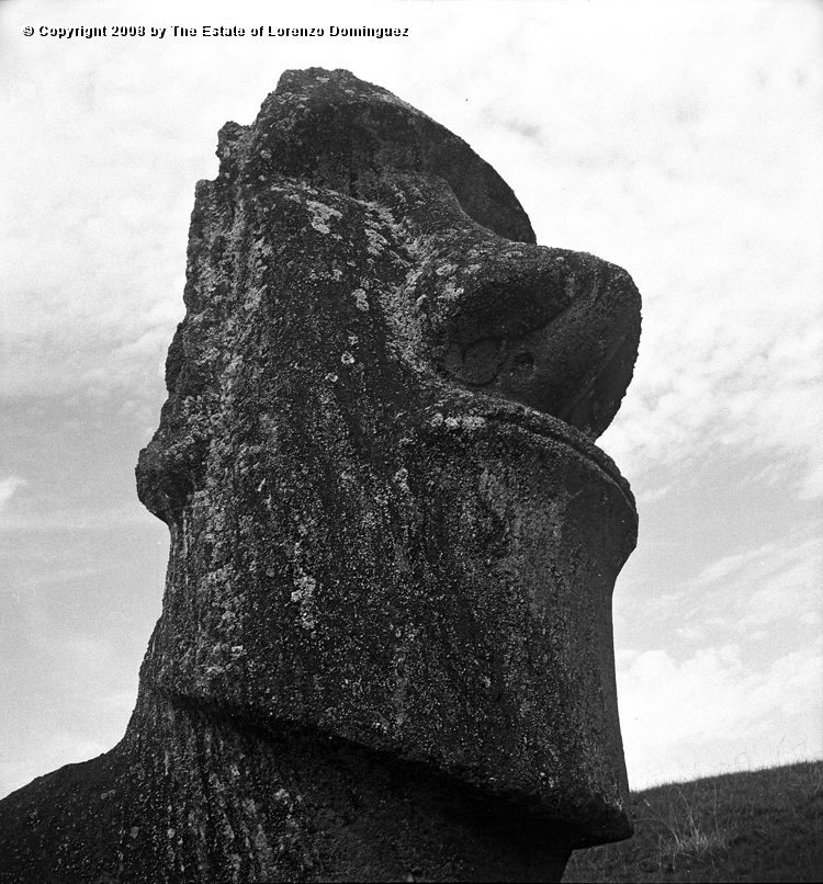RRE_Hina_Riru_11.jpg - Easter Island. 1960. Moai on the exterior slope of Rano Raraku.  This moai is said to represent Hina-Riru, the first master sculptor who arrived on Easter Island with king Hotu Matu'a.