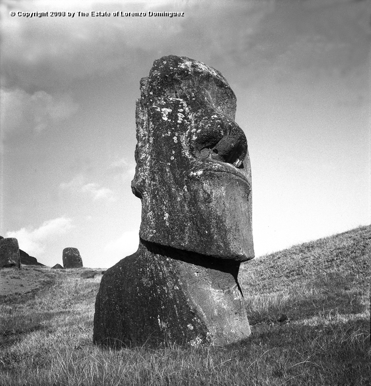 RRE_Hina_Riru_14.jpg - Easter Island. 1960. Moai on the exterior slope of Rano Raraku.  This moai is said to represent Hina-Riru, the first master sculptor who arrived on Easter Island with king Hotu Matu'a.