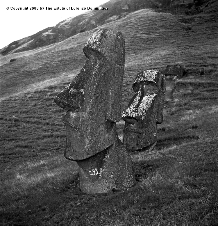 RRE_Hina_Riru_16.jpg - Easter Island. 1960. Two mon the exterior slope of Rano Raraku.  This moai in front is said to represent Hina-Riru, the first master sculptor who arrived on Easter Island with king Hotu Matu'a.