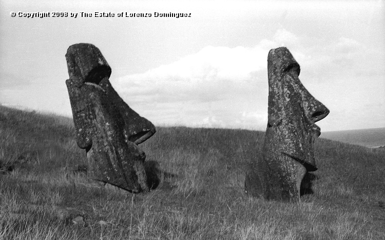 RRE_Hina_Riru_18.jpg - Easter Island. 1960. Moai on the exterior slope of Rano Raraku. "The Sunken One" and "Hina-Riru." Hina-Riru is said to represent the first master sculptor who arrived on Easter Island with king Hotu Matu'a.