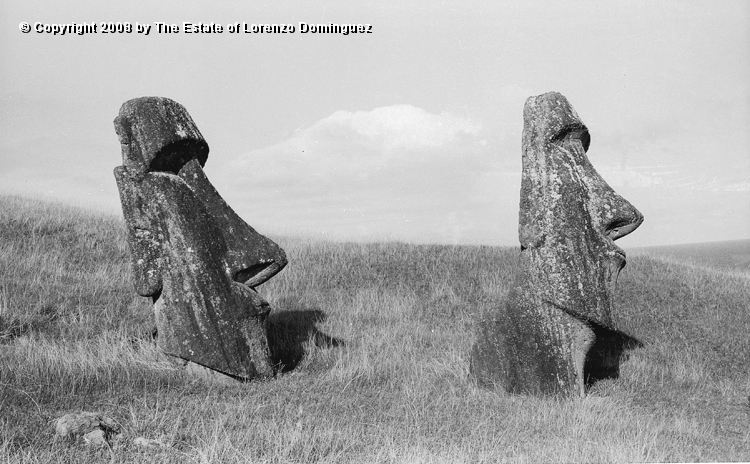 RRE_Hina_Riru_20.jpg - Easter Island. 1960. Moai on the exterior slope of Rano Raraku. "The Sunken One" and "Hina-Riru." Hina-Riru is said to represent the first master sculptor who arrived on Easter Island with king Hotu Matu'a.