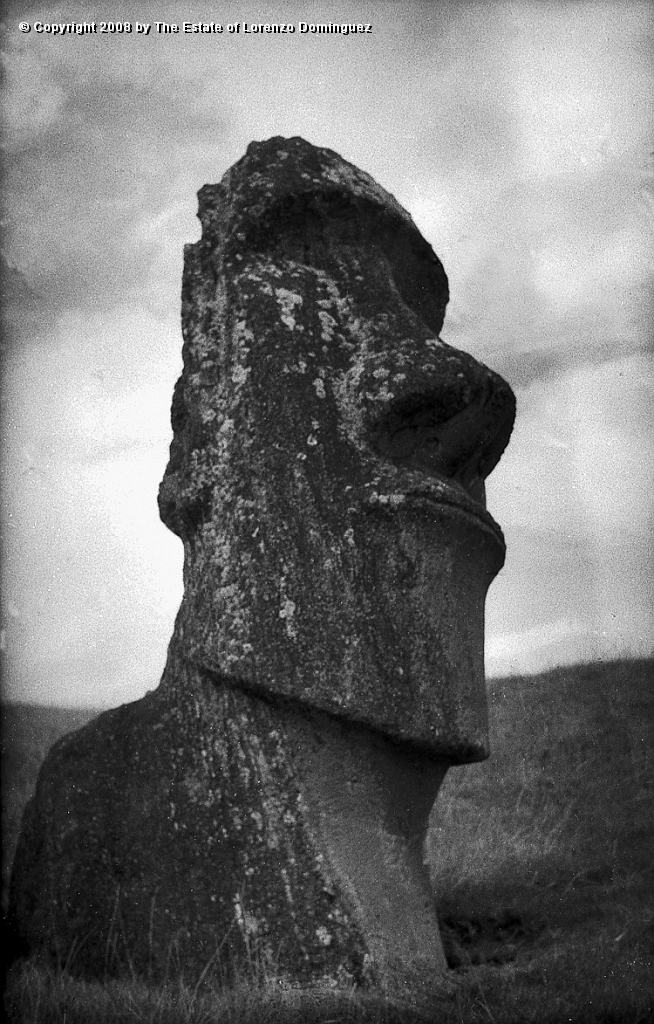 RRE_Hina_Riru_21.jpg - Easter Island. 1960. Moai on the exterior slope of Rano Raraku.  This moai is said to represent Hina-Riru, the first master sculptor who arrived on Easter Island with king Hotu Matu'a.