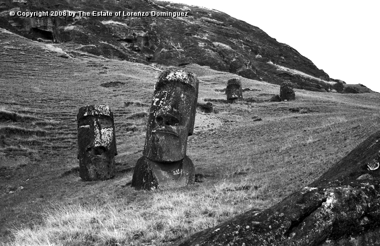 RRE_Hina_Riru_22.jpg - Easter Island. 1960. Sentry moai on the exterior slope of Rano Raraku.The moai in the foreground is said to represent Hina-Riru, the first master sculptor who arrived on Easter Island with king Hotu Matu'a. In the background, "The Sunken One."