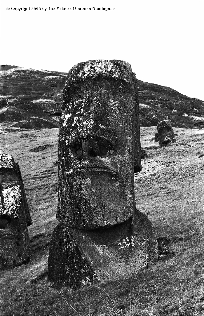 RRE_Hina_Riru_23.jpg - Easter Island. 1960. Hina Riru and other moai on the exterior slope of Rano Raraku. The moai Hina-Riru is said to represent the first master sculptor who arrived on Easter Island with king Hotu Matu'a.