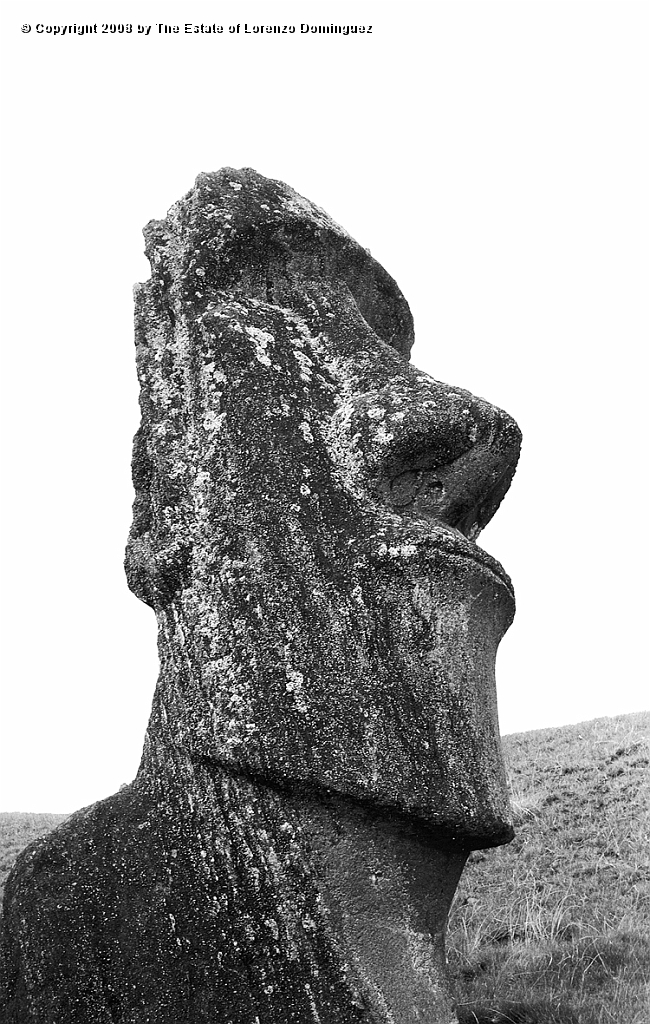 RRE_Hina_Riru_24.jpg - Easter Island. 1960. Sentry moai on the exterior slope of Rano Raraku. Mmoai Hina-Riru. It is said to represent the first master sculptor who arrived on Easter Island with king Hotu Matu'a.