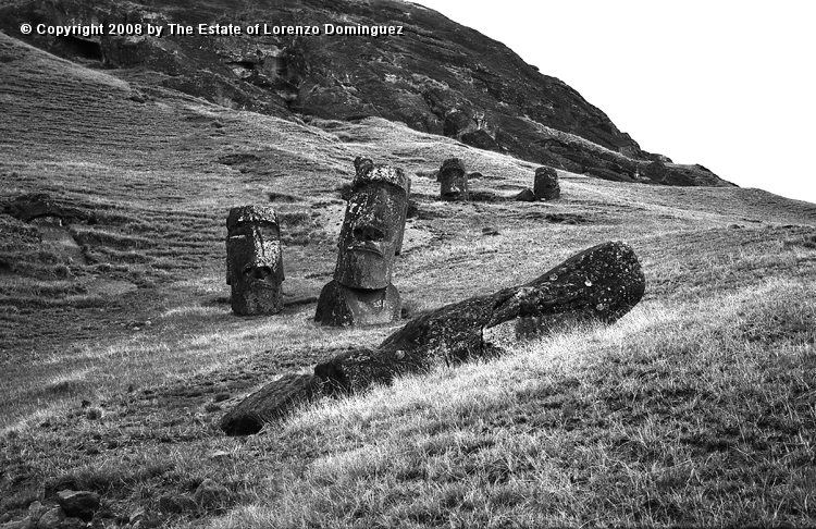 RRE_Hina_Riru_25.jpg - Easter Island. 1960. Group of moai on the exterior slope of Rano Raraku including Hina Riru,  the  moai said to represent  the first master sculptor who arrived on Easter Island with king Hotu Matu'a and the moai identified by Lorenzo Dominguez as "The Sunken One."