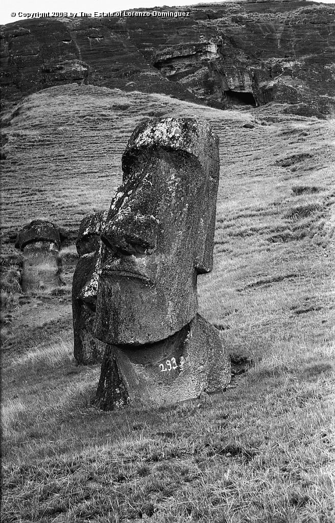 RRE_Hina_Riru_26.jpg - Easter Island. 1960. Moai on the exterior slope of Rano Raraku.  This moai is said to represent Hina-Riru, the first master sculptor who arrived on Easter Island with king Hotu Matu'a.